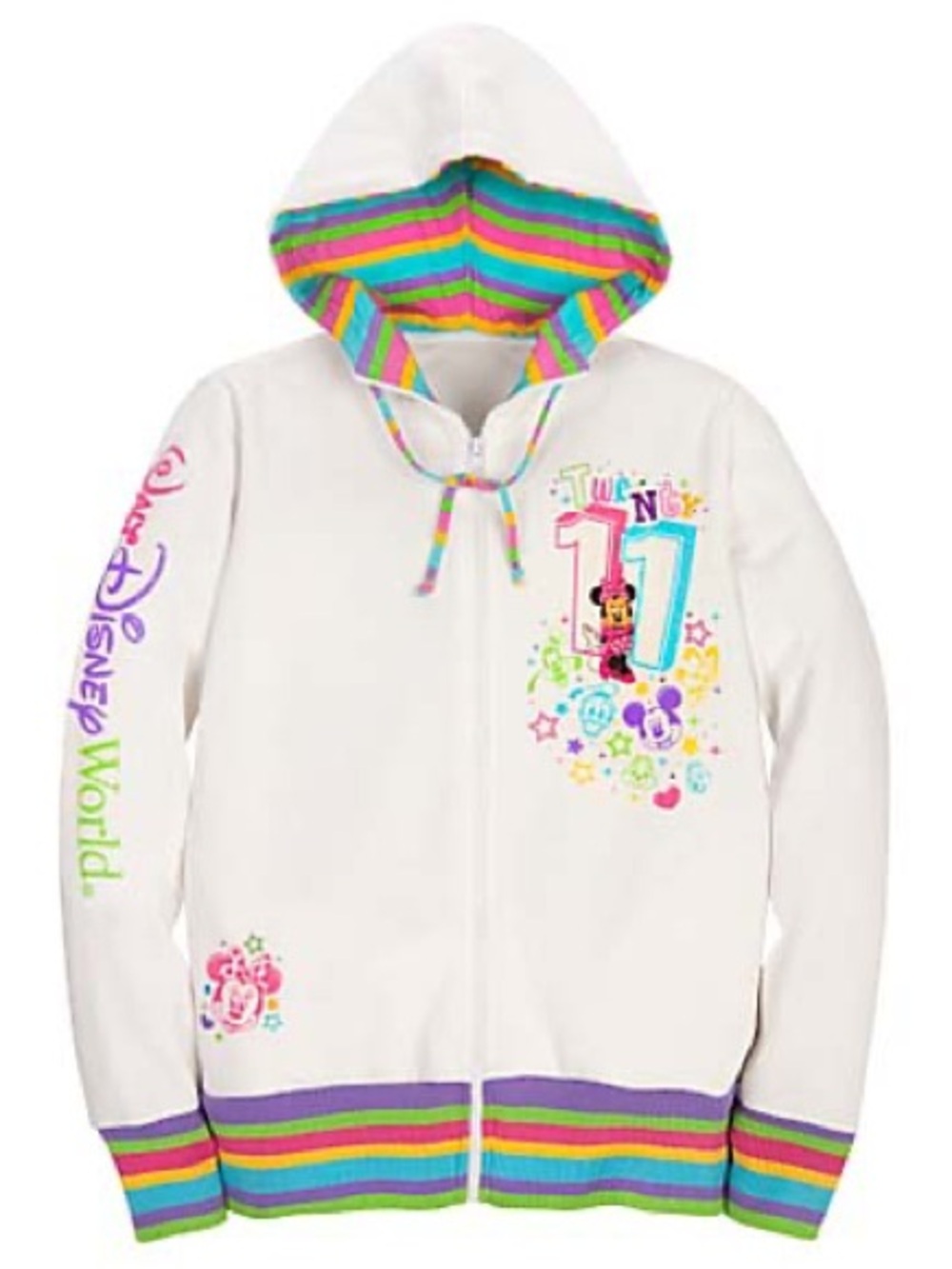 Walt Disney world Disneyland resort Y2K 2011 Walt Disney world hoodie